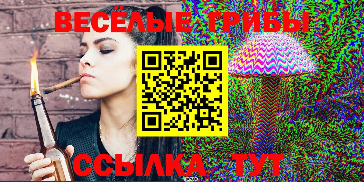 Псилоцибиновые грибы Psilocybe  Вход с VPN  Псилоцибиновые грибы MAGIC MUSHROOMS  Белогорск 