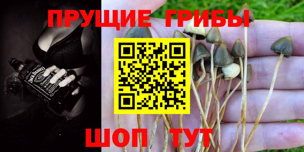 Галлюциногенные грибы Cubensis Белогорск